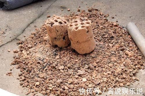 排水|养花不死,全靠盆土,用这个土养花,能活几十年