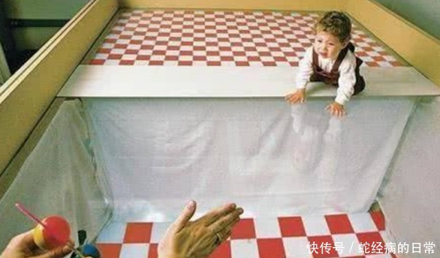 将婴儿放在“视觉悬崖”上,婴儿会爬过去吗?看完真是长知识