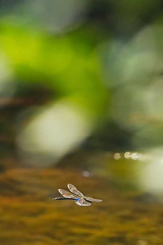 温泉|精彩演艺、登山祈福、星空下私汤温泉...天台山旅游区国庆假期超实用攻略