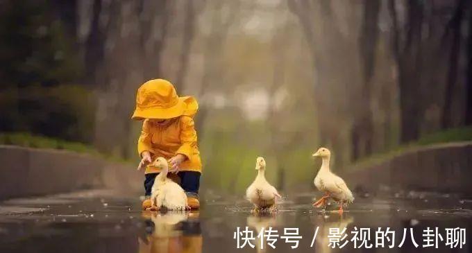 呵护|“生命教育”是父母给孩子的礼物,呵护孩子“感知生命”的天赋!