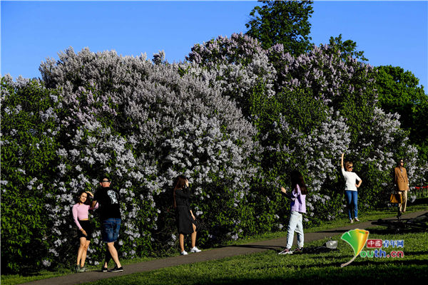 美景|俄罗斯春意盎然 人们户外欣赏美景