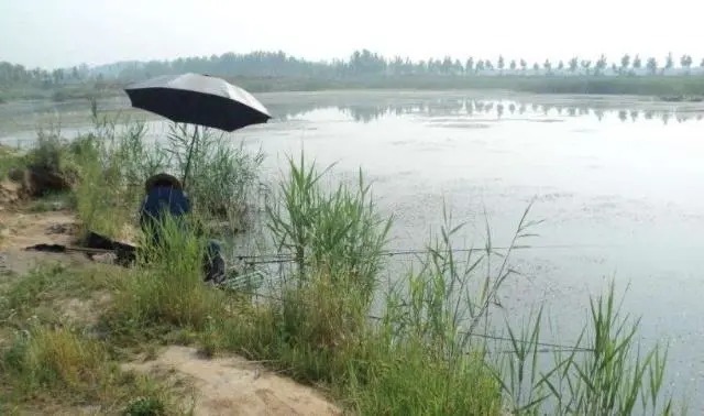 冬钓鲫鱼，牢记“三字铁律”，一字没做到，一天摸瞎！