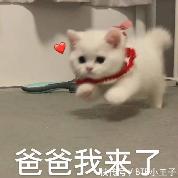 |笑话:阿姨,你是不是特别讨厌我这种家里有钱,学习成绩还好的人啊?