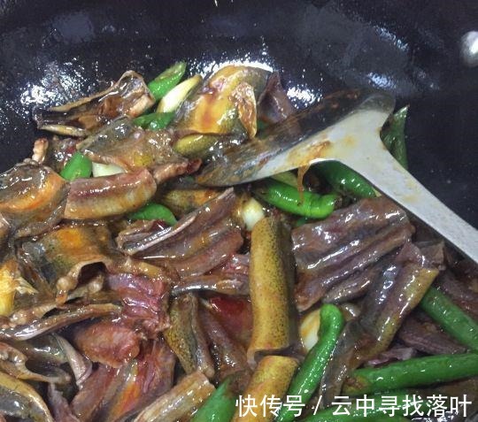 带鱼|入秋后,“贴秋膘”可别乱补,分享秋后5种鱼,营养解馋,不怕胖!