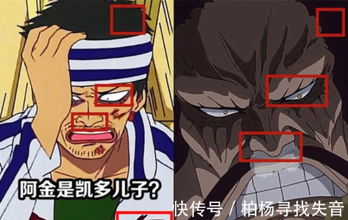 克比|海贼王流传甚广的“十大谣言”,凯多的种族其实是龙族