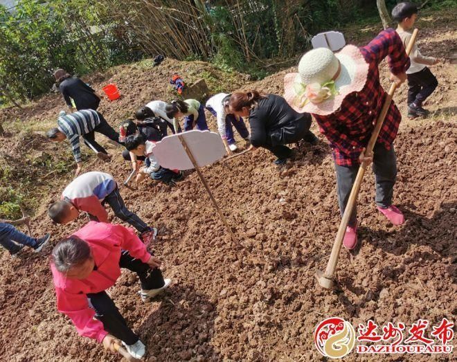 绿色种植，快乐成长 ——通川七小牌楼分校劳动教育主题实践暨家长开放日活动