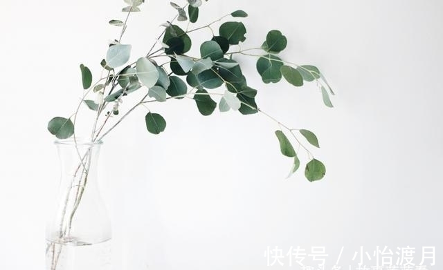 桃花|8天过后，桃花重开，红鸾报喜，良人回归，小鹿乱撞，恩爱到白头