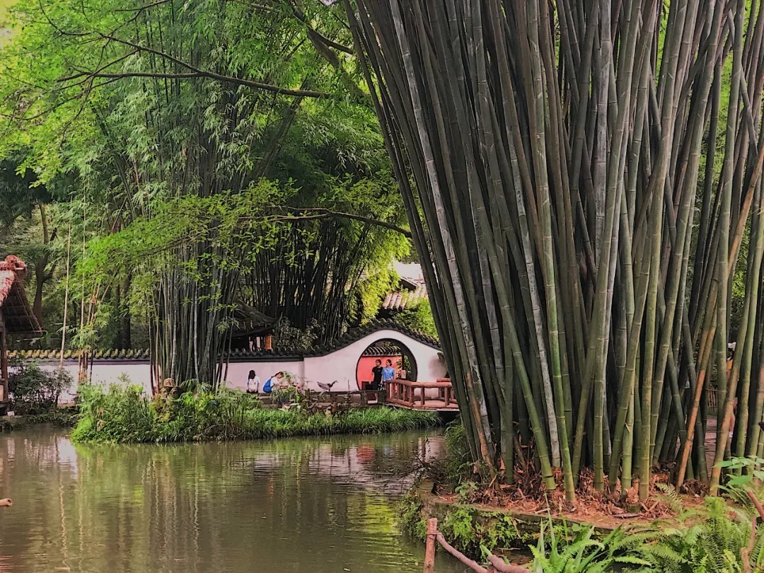 鹧鸪天|12句动人心魄的诗词,千古绝唱的美!