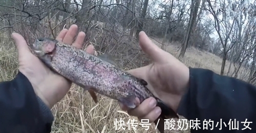 小个红果子做饵,水沟中也能钓获鱼,钓鱼人最爱了