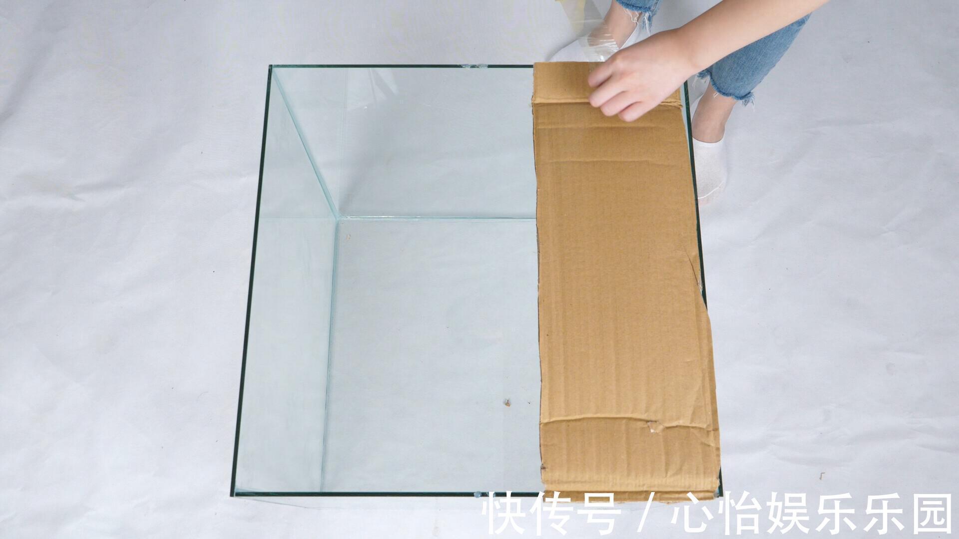 玻璃缸|家里有老鼠别急,把它放角落里,来多少抓多少,好方法简单实用