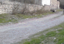 |搞笑GIF段子:在美女姑娘转身那一刻,感觉自己恋爱了