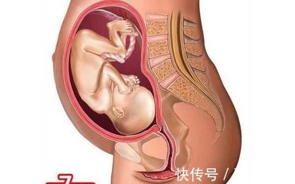 第四个月|胎儿形成的全过程，十张高清组图让你了解生命孕育，感叹妈妈伟大