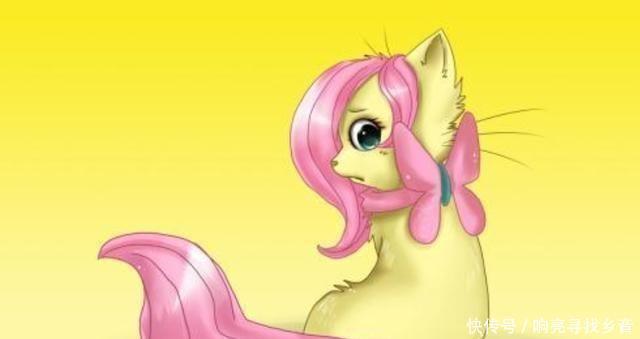 主角|小马宝莉当主角团猫化后,云宝超可爱,萍琪派太兴奋!