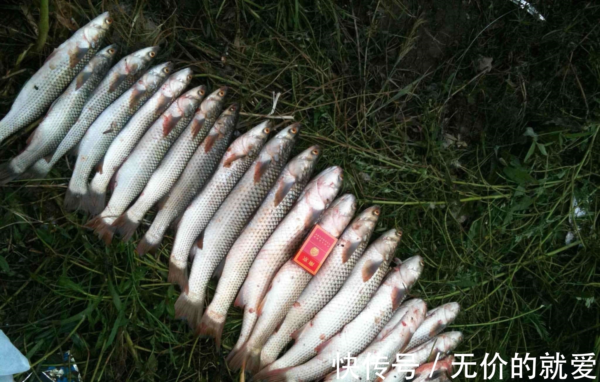 水库垂钓总没渔获,这些技巧试一试,想要空军都难