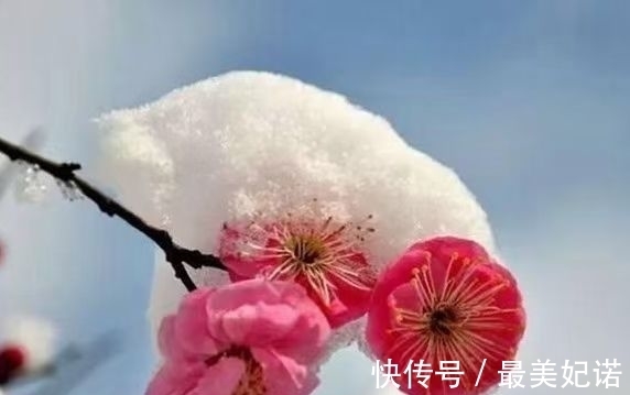 岁月如歌#年暮梅红|学海觅挚友,文坛铸诗心(诗词七首)