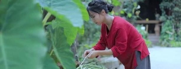 李子柒自制煎牛排,这次直接糊掉了网友真当我们没看见