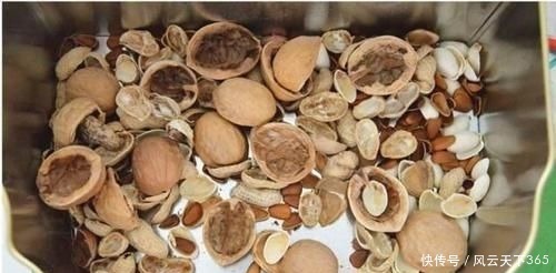 过年这种壳别扔,都是养花宝贝,养啥花都爆盆,比花肥还厉害