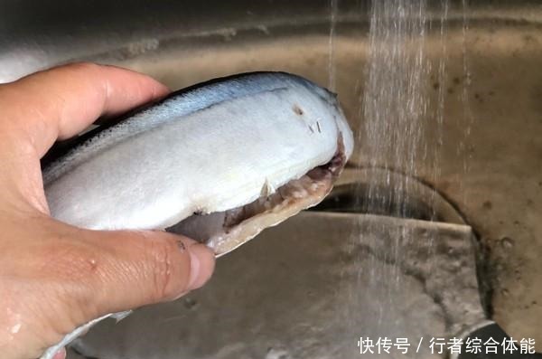 日本人稱為“腦黃金”的魚,在中國(guó)很便宜,只因?yàn)樘攘耍?
onload=