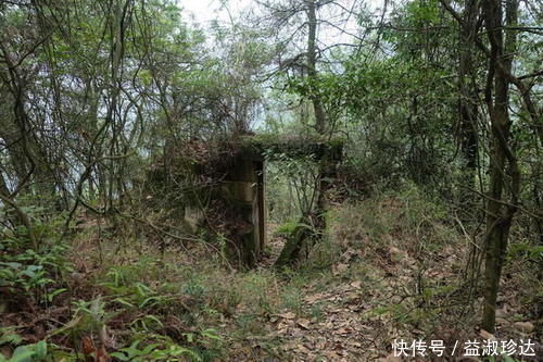 沙坪坝崖居遗址|沙坪坝崖居遗址，规模不大却功能齐全，历经岁月沧桑仅剩残垣断壁