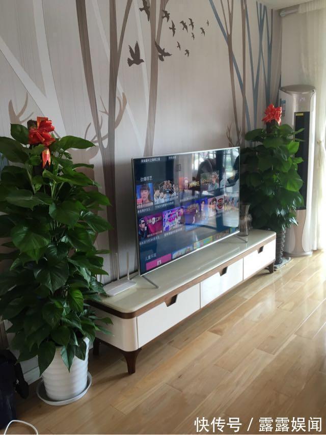 新房|乔迁之喜晒新房,116平花了15万,感觉媳妇眼光不是一般的好!