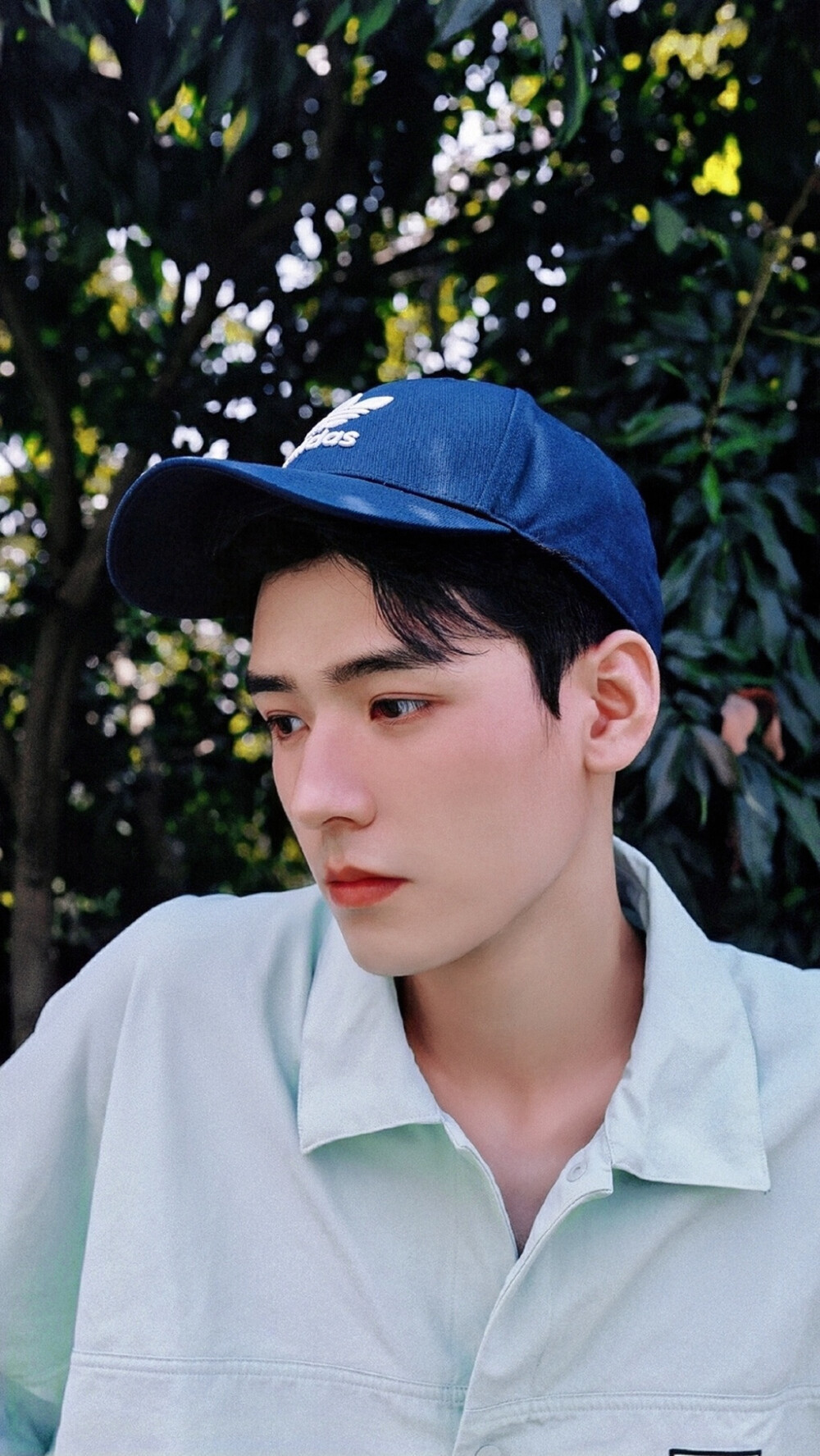 小龙虾|姚安娜在《中餐厅》“拈轻怕重”,其他成员喝茶,龚俊已忙活不停