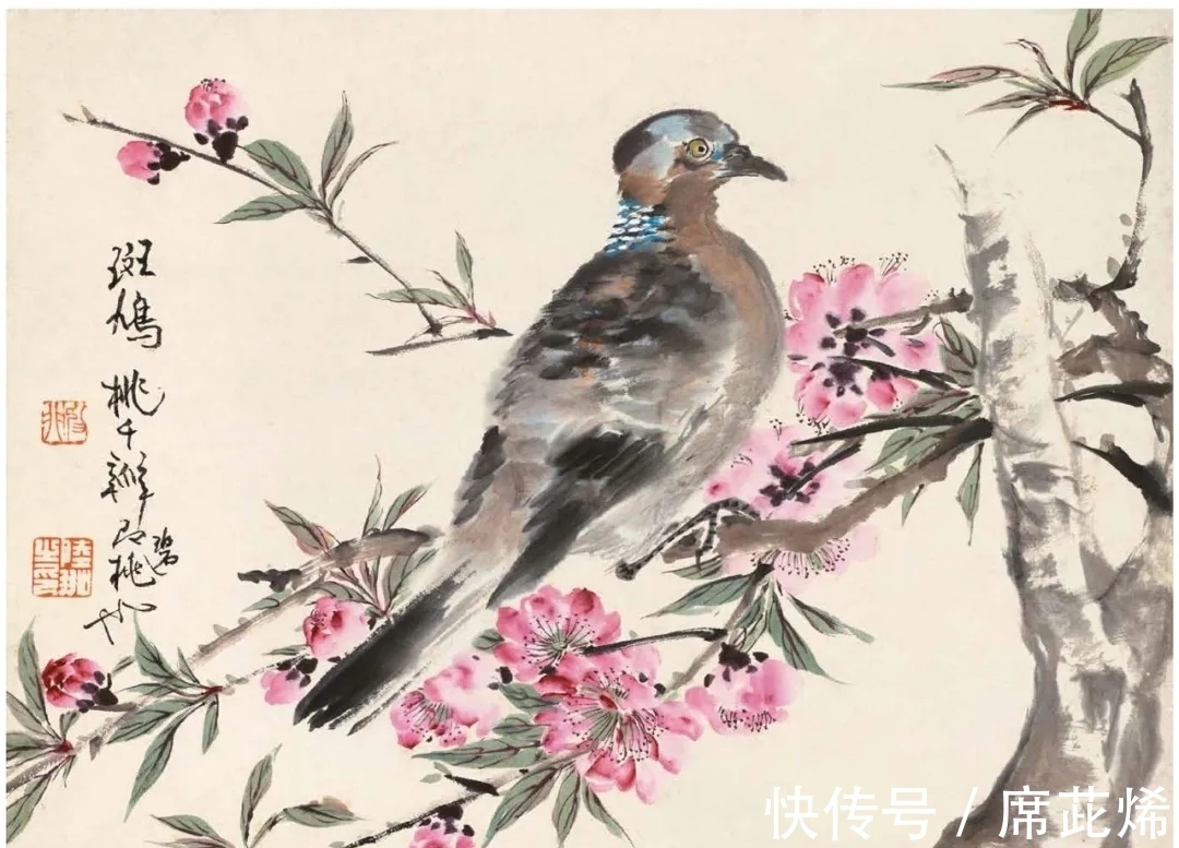 中国画#他一手花鸟得南田遗韵,清雅明丽,恰似清风徐来|陆抑非花鸟画