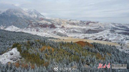 秋雪|宛若童话世界！一场秋雪惊艳马蹄寺风景区