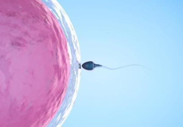 小腹|女性来月经前有这种“感觉”,往往说明卵子质量好,更容易受孕