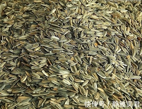 瓜子|经常吃瓜子,对健康是好还是坏营养专家今天告诉你答案,了解下