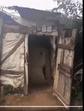 |搞笑GIF：妹子，你这也太皮了，皮一下很开心吧！