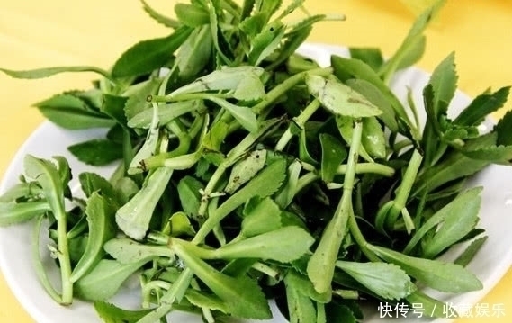 养心菜|农村田里的这种野草，钙是牛奶3倍，价值很珍贵，你有见过没