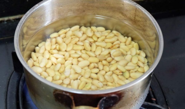 别再烦恼养花养不好了,用这3款“营养水”,叶绿开花多长得旺