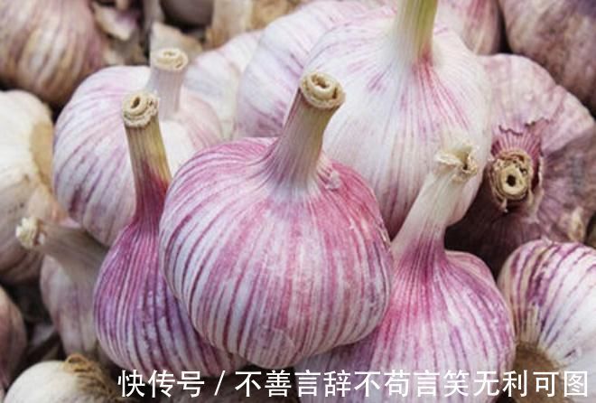 原来保存大蒜这么简单，教您一招，1年不干瘪发芽，不怕蒜涨价了