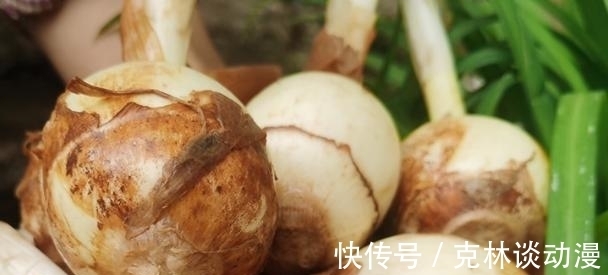 花生米|寒露后,多吃这5道菜,正当季,健脾祛湿、养心润肺,健康度深秋