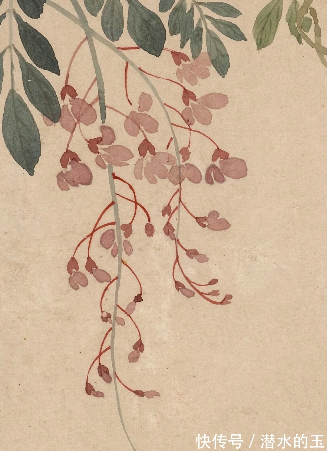 花卉图$汪士慎:一生心事为花忙丨私享艺术