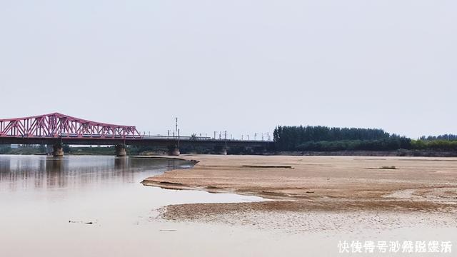 黄辣丁|黄河水位大降，钓鱼人探钓黄河滩，“野货”真不少