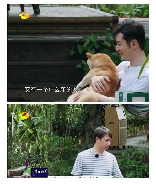 向往的生活4|黄晓明和黄磊在《向往的生活》疑似鼓励肖战，何炅一句话都没说