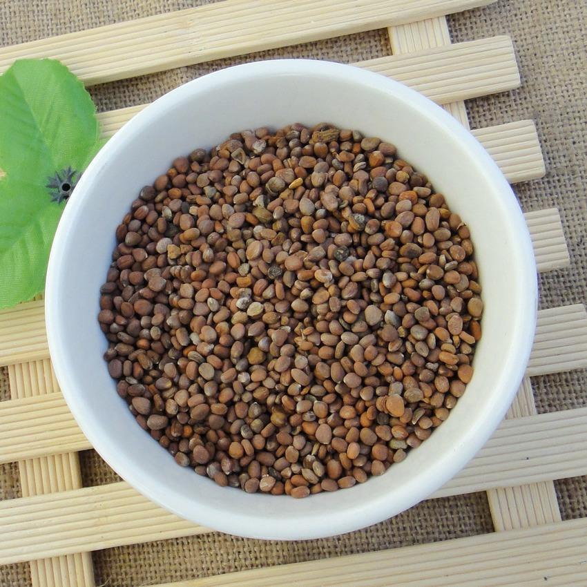 干结|被誉为“天然泻药”的中药,经常吃,消炎灭菌、口臭便秘都消失