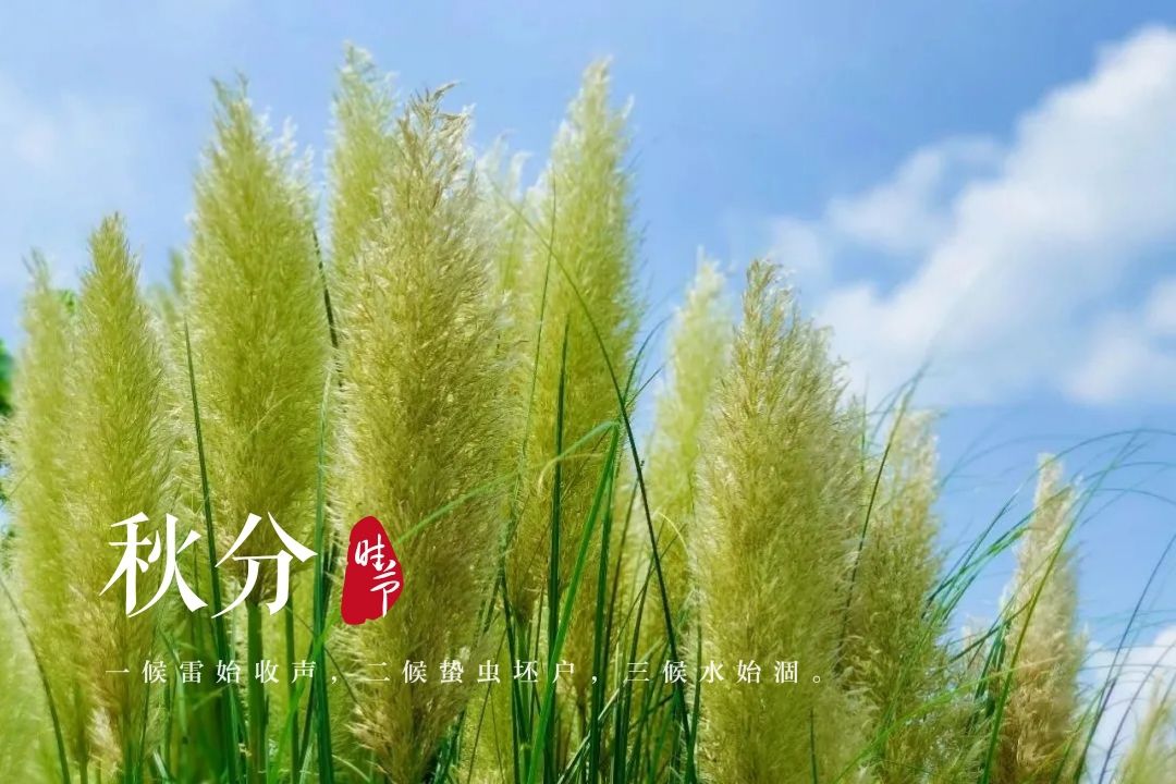 上海植物园$图说│今日秋分，申城“秋老虎”复出发威，“晴热晒”模式重启