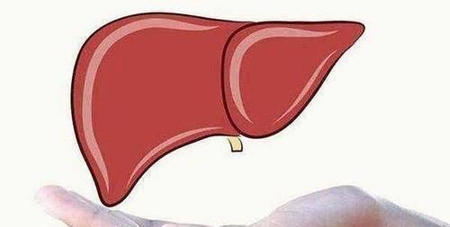 养肝护肝|肝脏也喜欢“吃水果”？医生提示：3种水果有益肝脏，可适量多吃