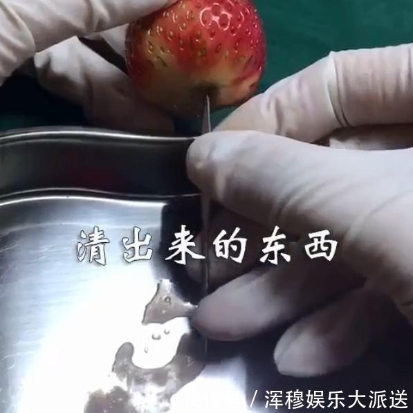 伤害|“人流”对女性伤害有多大 医生用草莓“演示”人流过程