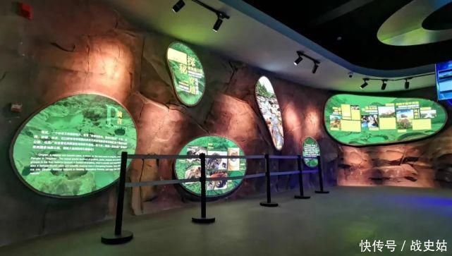 探秘 广东饶平青岚地质博物馆，探秘地质科学的宝藏地