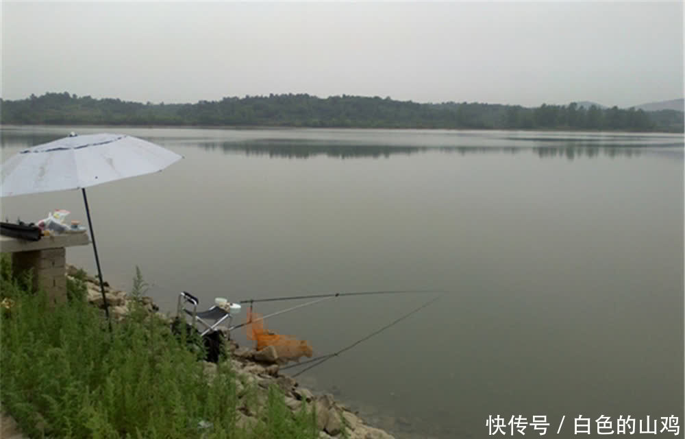 晚春钓鲤鱼,天气和钓位选择技巧,弄懂了这两点,钓大鲤鱼更简单