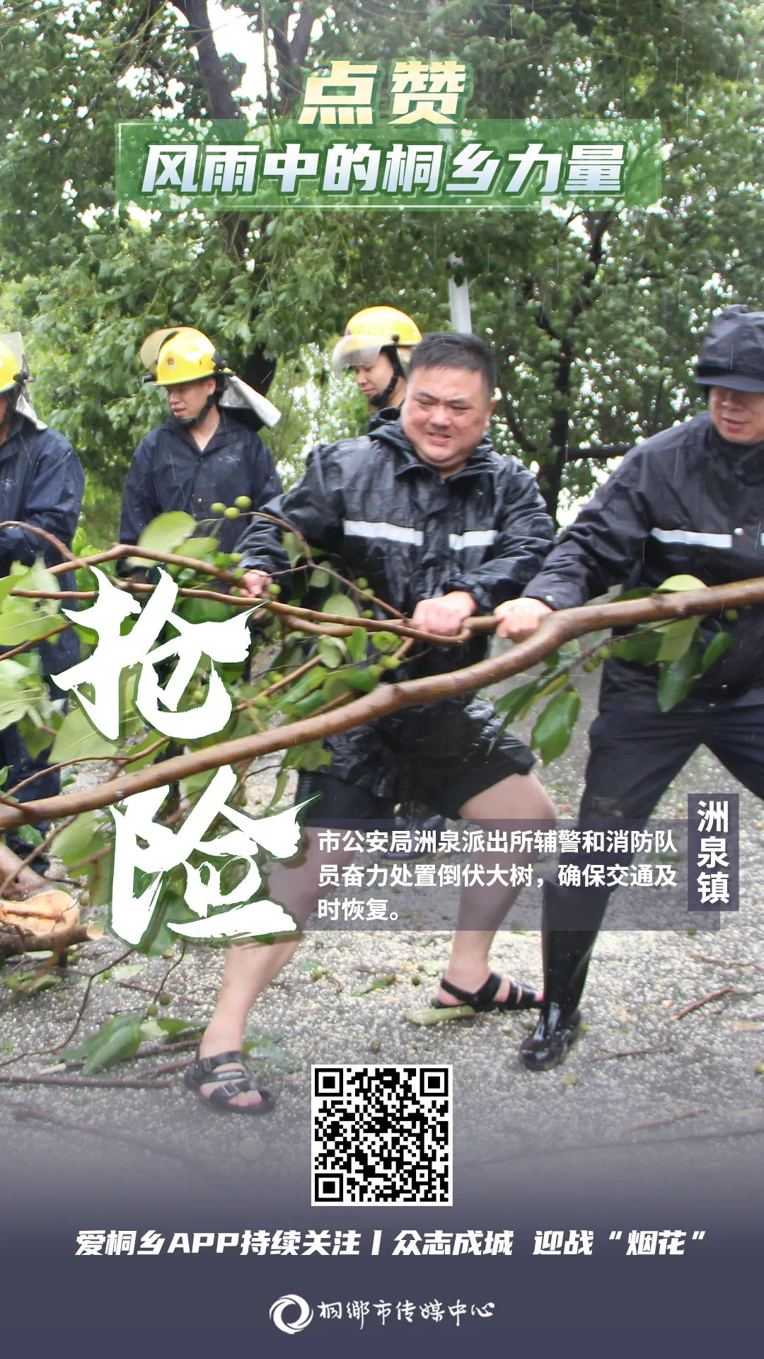 桐乡|点赞！风雨中的桐乡力量！