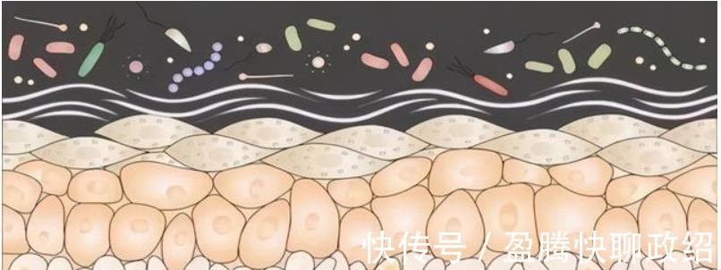 肌红血丝|敏感肌红血丝怎么护肤?从成因到修复,都给你梳理好了!