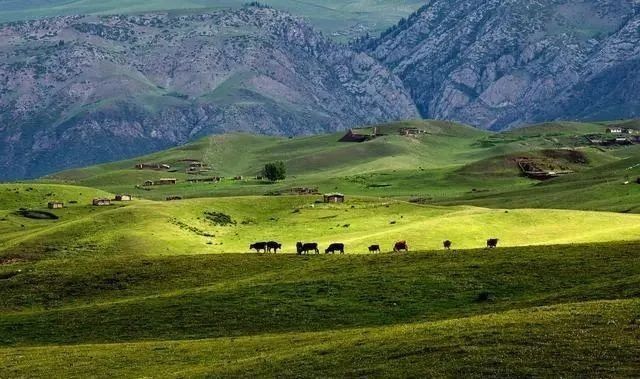 李密|邓皓天君子坦荡荡,小人常戚戚,保持距离才是最智者