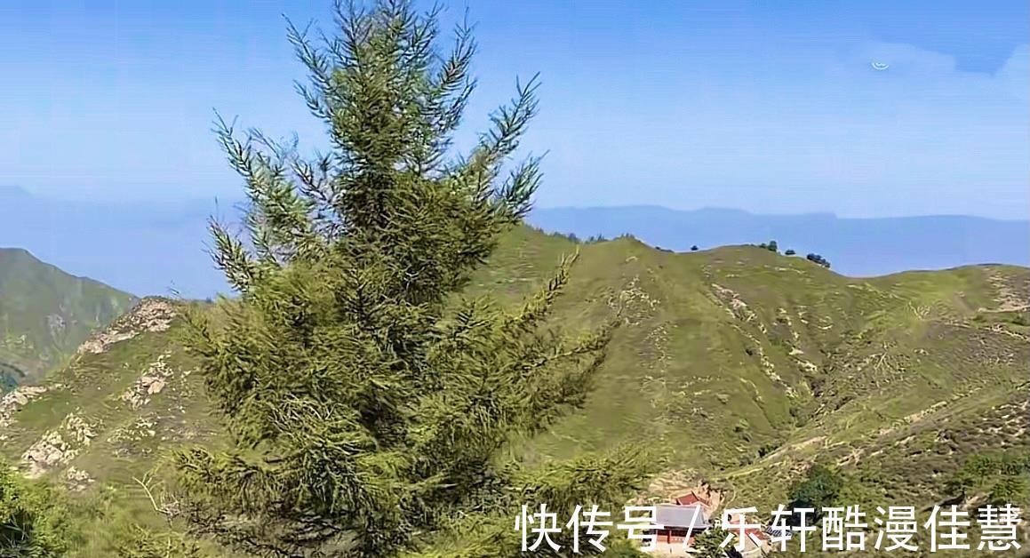 天王殿|五台山一位苦修师傅甘愿清贫，16年靠打工，修复了700年古寺