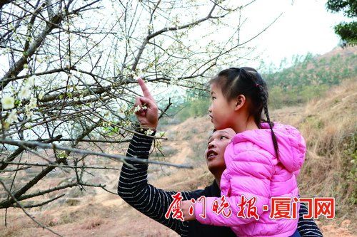 小西|厦门同安八怪谷千亩梅花盛放
