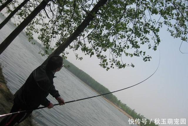 鱼钩挂底、挂树、挂衣服,别着急,这样处理,很快就能搞定