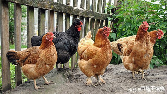 22个冷知识课本上不会出现,无法轻易相信的有趣事实